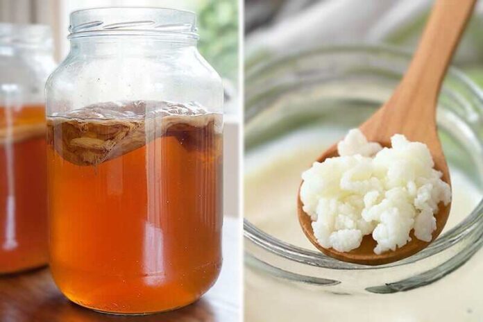 Naturally fermented drinks