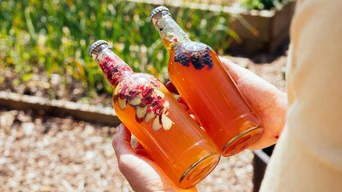 fermented drinks